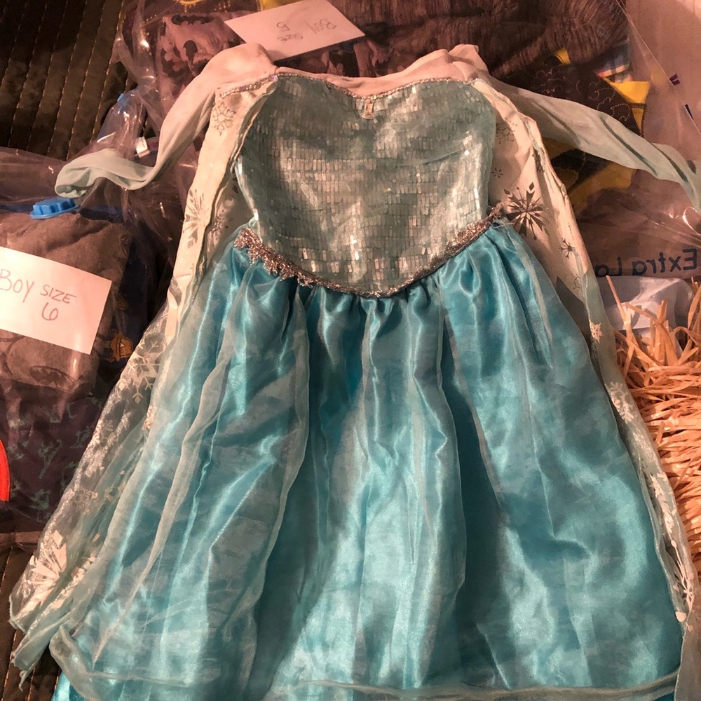 Elsa Costume